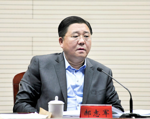 区委副书记、区长郝志军主持