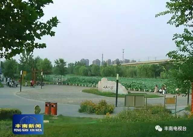 640.webp (4)