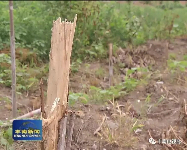 640.webp (5)