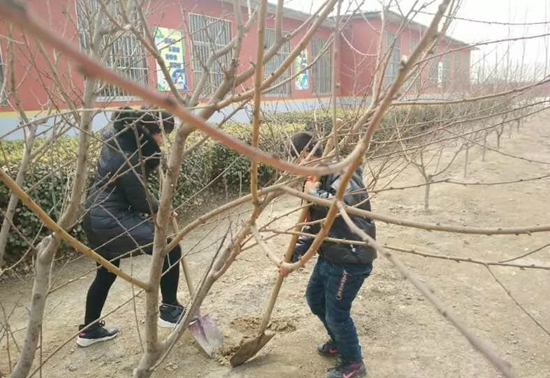 微信图片_20180314160745