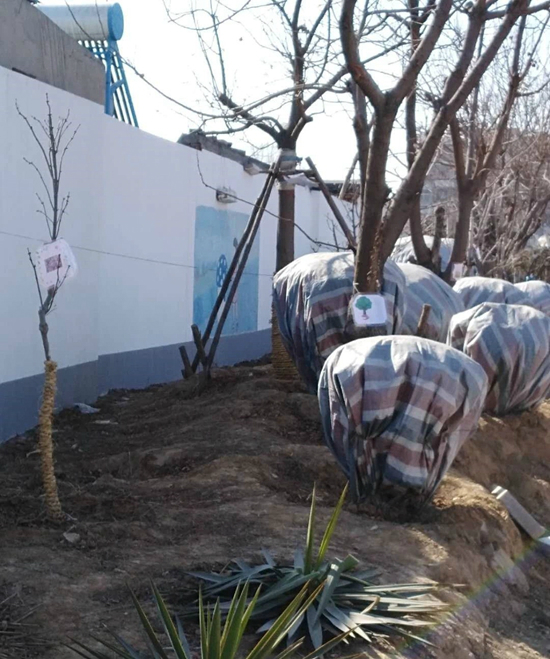 微信图片_20180321153515