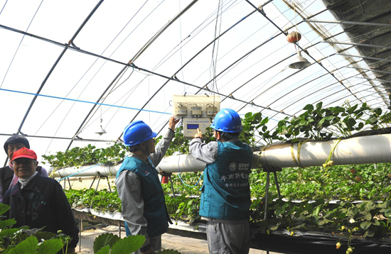 冀北唐山市丰南区供电公司青年志愿者来到钱营镇鑫湖生态园开展志愿服务活动