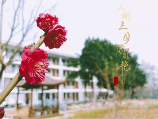 640.webp (12)