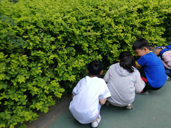 微信图片_20180522154448