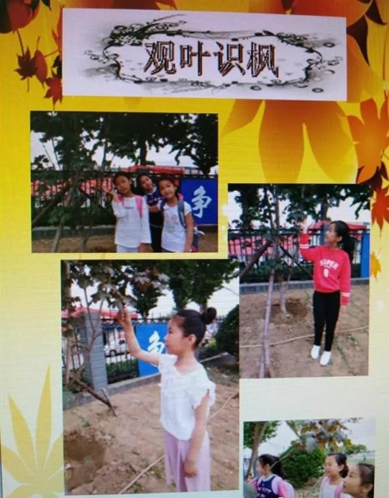640.webp_副本