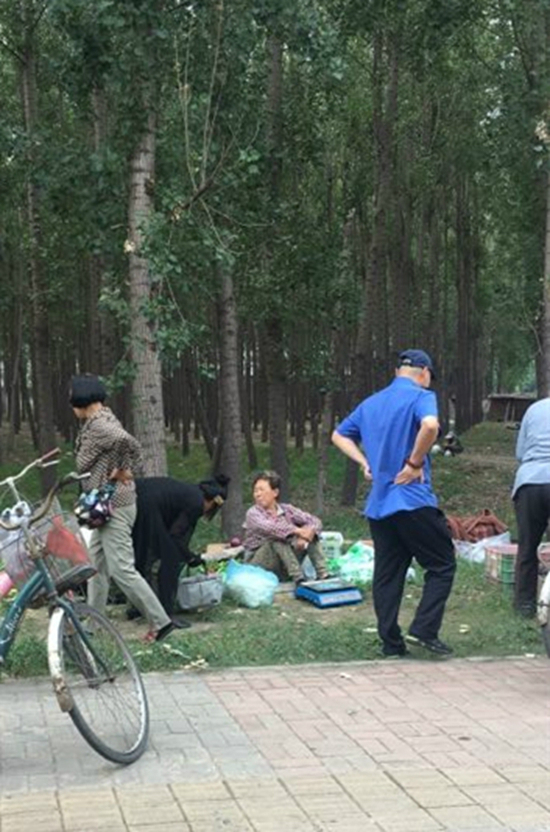 微信图片_20180711163717